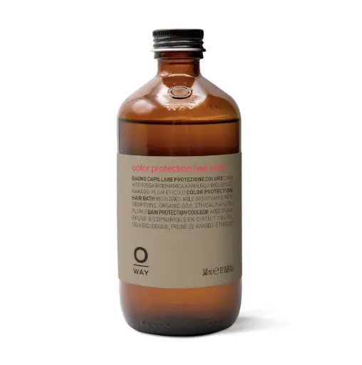 COLOR PROTECTION HAIR BATH